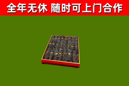太和回收海参